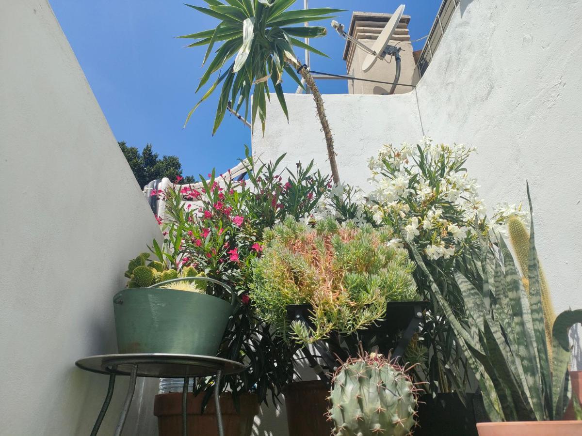 Historic Center Private Terrace Apartment Malaga Bagian luar foto